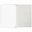 Книга учета 96 л., клетка, твердая, крафт, типографский блок, А4 200х290 мм, STAFF, 126500