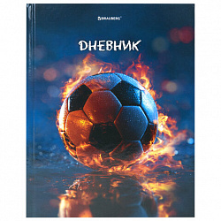 Дневник 1-4 класс 48 л., твердый, BRAUBERG, глянцевая ламинация, с подсказом, "МИКС", 107587