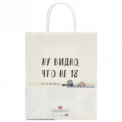 Пакет подарочный (1 штука) 26х13х32 см (L) "Woman Funny Notes", ассорти, крафт, ЗОЛОТАЯ СКАЗКА, 700822