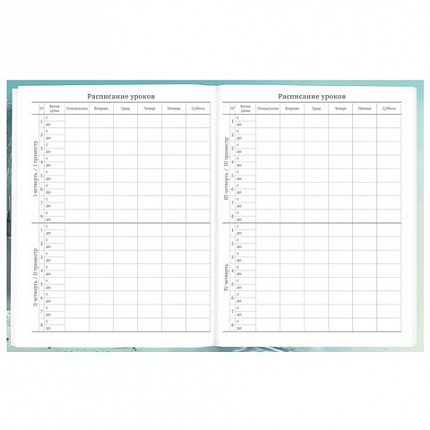 Дневник 5-11 класс 48 л., твердый, BRAUBERG, глянцевая ламинация, с подсказом, "Космический корабль", 107189