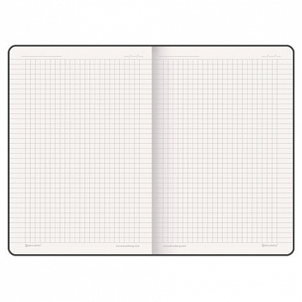 Блокнот А5 (162х218 мм), BRAUBERG "NOTE", под кожу софт-тач, с резинкой, 80 л., клетка, светло-серый, 113441
