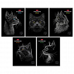 Тетрадь А5, 48 л., HATBER, скоба, клетка, матовая ламинация, 3D-лак, "Black Cat" (микс в спайке), 093159, 48Т5лолВ1