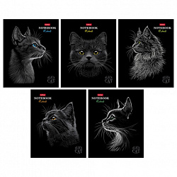 Тетрадь А5, 48 л., HATBER, скоба, клетка, матовая ламинация, 3D-лак, "Black Cat" (микс в спайке), 093159, 48Т5лолВ1