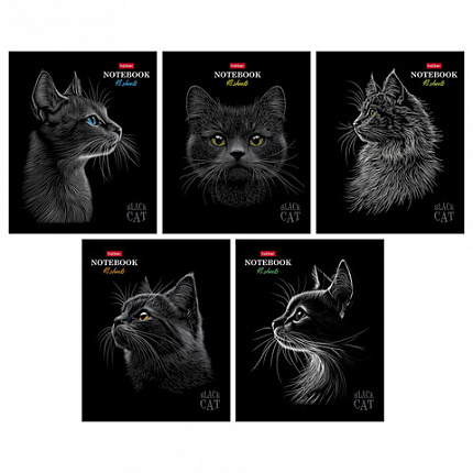 Тетрадь А5, 48 л., HATBER, скоба, клетка, матовая ламинация, 3D-лак, "Black Cat" (микс в спайке), 093159, 48Т5лолВ1
