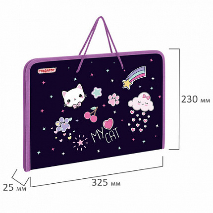 Папка для труда на молнии с ручками ПИФАГОР А4, 1 отделение, пластик, органайзер, "Leapfrog", 273388