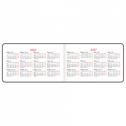 Еженедельник датированный 2026 МАЛЫЙ ФОРМАТ 105х160 мм, А6, BRAUBERG "Blaze", фольга, серый, 117218