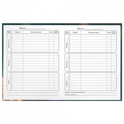 Дневник 1-4 класс 48 л., гибкая обложка, ЮНЛАНДИЯ, выборочный лак, с подсказом, "Медвежонок", 107141