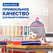 Мешок для обуви BRAUBERG, с петлей, светоотражающая полоса, 2 отделения, 46х36 см, "Дружба котиков", 273449