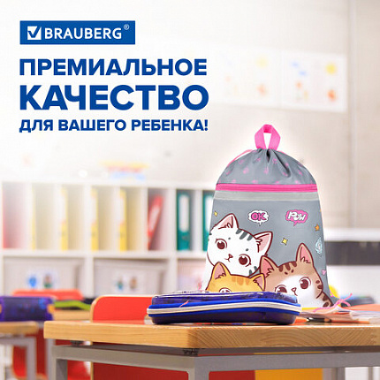 Мешок для обуви BRAUBERG, с петлей, светоотражающая полоса, 2 отделения, 46х36 см, "Дружба котиков", 273449
