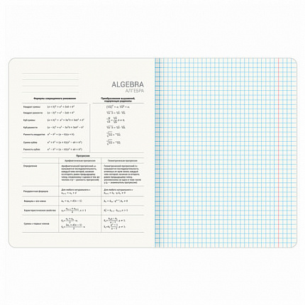 Тетради предметные, КОМПЛЕКТ 12 ПРЕДМЕТОВ, 48 л., TWIN лак, BRAUBERG "ASIA", 405174