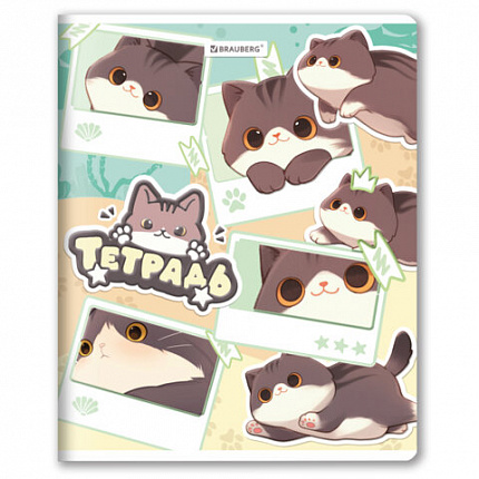 РЕЗЕРВ Тетрадь А5 48л. BRAUBERG МИЛЫЕ КОТЫ скоба, клетка, выборочный лак, 405193