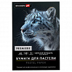 Бумага для пастели АБРАЗИВНАЯ А3 в папке, 15 листов, ЧЕРНАЯ, 240 г/м2, BRAUBERG ART, 117766