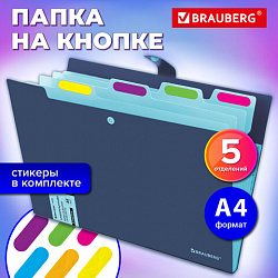 Папка-органайзер на кнопке 5 отделений, BRAUBERG "Extra", А4, синяя с голубым, 274096