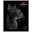 Тетрадь А5, 48 л., HATBER, скоба, клетка, матовая ламинация, 3D-лак, "Black Cat" (микс в спайке), 093159, 48Т5лолВ1
