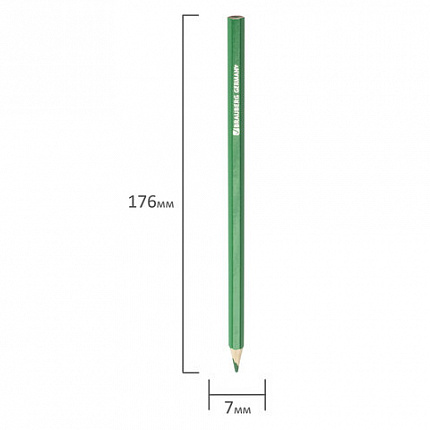Карандаши цветные BRAUBERG "Star Patrol", 12 цв., заточенные, картонная упаковка, 180532
