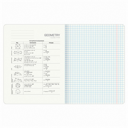 Тетрадь предметная "КОТ-ЭНТУЗИАСТ" 48 л., TWIN-лак, ГЕОМЕТРИЯ, клетка, подсказ, BRAUBERG, 404561