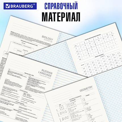 Тетради предметные, КОМПЛЕКТ 12 ПРЕДМЕТОВ, 48 л., обложка картон, BRAUBERG, "КЛАССИКА SCIENCE", 404843