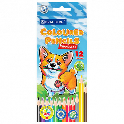 Карандаши цветные "АССОРТИ 8 ДИЗАЙНОВ 3-10 лет", 12 цветов, трехгранные, BRAUBERG, 182055