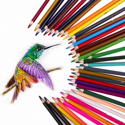 Карандаши цветные акварельные BRAUBERG PREMIUM AQUARELLE 36 цветов в тубе, трёхгранные, мягкие, 181933