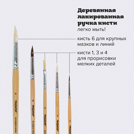 Кисти ПИФАГОР, набор 5 шт. (ПОНИ: круглые № 1, 4; КОЗА: круглые № 3, 6; ЩЕТИНА: плоская № 4), пакет с европодвесом, 200892