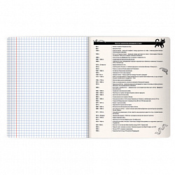 Тетрадь предметная КОТ-НЕПОСЕДА 48 л., пластиковая обложка, ИСТОРИЯ, клетка, подсказ, BRAUBERG, 405534