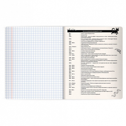 Тетрадь предметная КОТ-НЕПОСЕДА 48л, пластиковая обложка, ИСТОРИЯ, клетка, подсказ, BRAUBERG, 405534