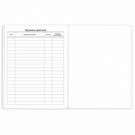 Дневник 1-11 класс 40 л., на скобе, ПИФАГОР, обложка картон, "Футбол", 107136