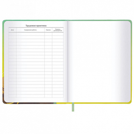 Дневник 1-11 класс 48 л., кожзам (твердая), печать, глиттер, ЮНЛАНДИЯ, "Котик", 107217