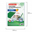 Папки-файлы перфорированные А4 BRAUBERG "EXTRA 700", КОМПЛЕКТ 50 шт., матовые, ПЛОТНЫЕ, 70 мкм, 229667