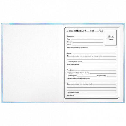 Дневник 1-4 класс 48 л., твердый, ЮНЛАНДИЯ, блестки, с подсказом, "Фея", 106608