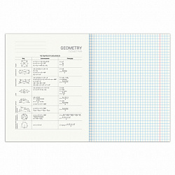 Тетрадь предметная "SPORT CLUB" 48 л., обложка картон, ГЕОМЕТРИЯ, клетка, подсказ, BRAUBERG, 404799