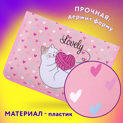 Папка для труда на молнии ЮНЛАНДИЯ А4, 1 отделение, откидная планка, органайзер, "Fluffy cat", 270982