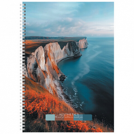 Тетрадь А4 96 л. STAFF College гребень, клетка, офсет №2 ЭКОНОМ, обложка картон, ПРИРОДА, 405619