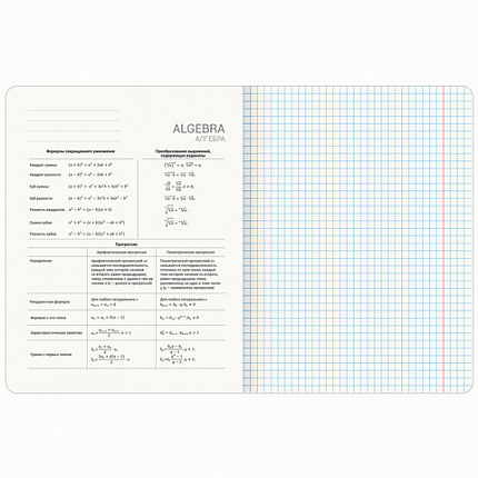 Тетради предметные, КОМПЛЕКТ 12 ПРЕДМЕТОВ, 48 л., SoftTouch, BRAUBERG, "ESTHETICS", 404833