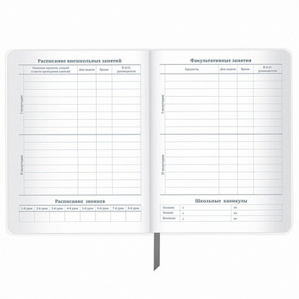 Дневник 1-11 класс 48 л., кожзам (твердая с поролоном), тиснение, аппликация, BRAUBERG, "Extreme", 106569