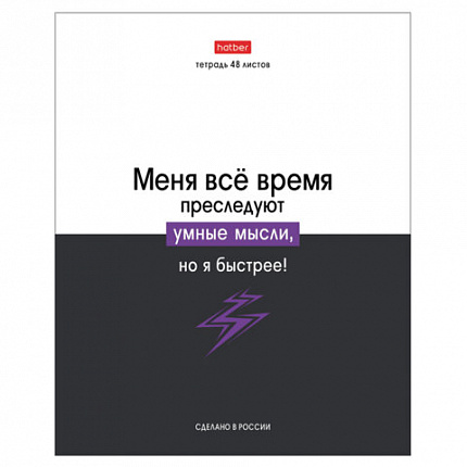 Тетрадь А5 48 л., HATBER скоба, клетка, обложка картон, "Люблю школу" (микс в коробе), 078565, 48Т5В1