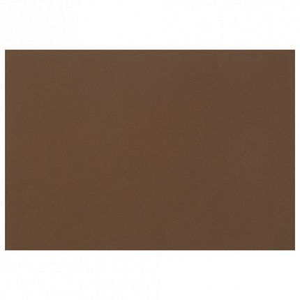 Бумага для пастели (1 лист) FABRIANO Tiziano А2+ (500х650 мм), 160 г/м2, кофейный, 52551009
