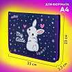 Папка для труда на молнии ЮНЛАНДИЯ А4, 1 отделение, откидная планка, органайзер, "Fluffy tail", 272220
