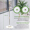 Швабра с отжимом и ведром 7л/5л, отжим центрифуга / рукоятка, 2 круглые насадки, крепление кольцо, бежевый, LAIMA, 607488