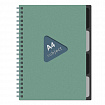 Тетрадь обложка пластик, А4 80 л., гребень, 4 разделителя, клетка, BRAUBERG, зеленый, 405363