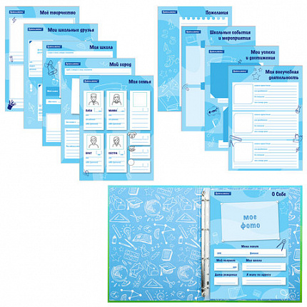 Папка-портфолио школьника "ОТЛИЧНИК", 4 кольца, 20 файлов, 10 вкладышей, 7БЦ матовая, BRAUBERG, 115240