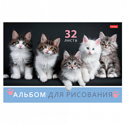 Альбом для рисования А4 32 л., скоба, обложка картон, HATBER, 205х290 мм, Ассорти "Выпуск №4" (5 видов), 091508, 32А4В