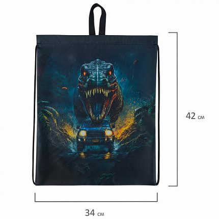 Мешок для обуви BRAUBERG KIDS, с петлей, 42х34 см, "Dino chase", 272416