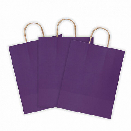 Крафт-пакет бумажный "Dark violet" 26х15х35 см, с кручеными ручками, 80 г/м2, моноцвет, 112405