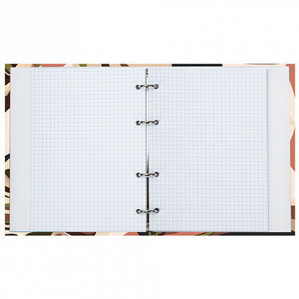 Тетрадь на кольцах А5 (165х215 мм), 120 листов, твердый картон, клетка, BRAUBERG, Vision, 404075