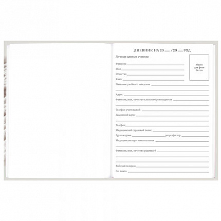 Дневник 5-11 класс 48 л., твердый, BRAUBERG, глянцевая ламинация, с подсказом, "Котик", 107188