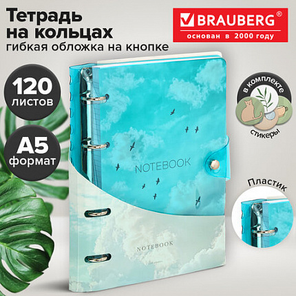 Тетрадь на кольцах А5, 175х215 мм, 120 л., неоновый пластик, клапан, BRAUBERG, синий, 405223