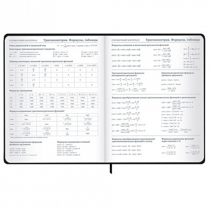 Дневник 1-11 класс 48 л., твердый, BRAUBERG, матовая ламинация, резинка, закладка-ляссе, с подсказом, "Элементы", 107242