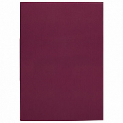 Книга учета 96 л., клетка, твердая, бумвинил, офсет, герб, А4 (200х290 мм), BRAUBERG, бордовая, 130276