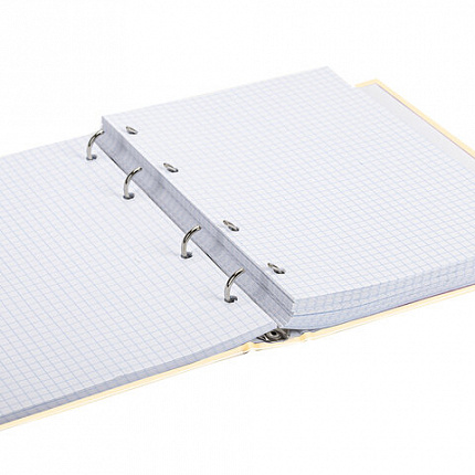 Тетрадь на кольцах А5 (175х215 мм), 240 листов, твердый картон, клетка, BRAUBERG, Miracle, 404093